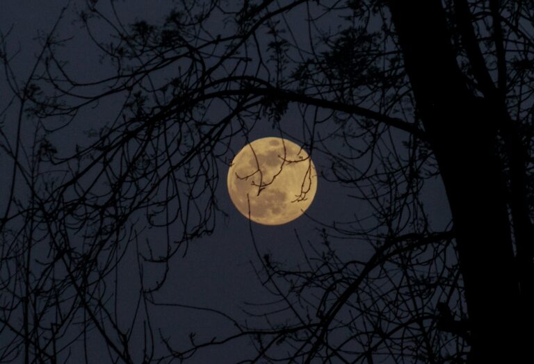 Sources and Links: 10 Ways to Make the Most of the June Strawberry Full Moon